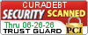 Security Seal