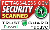 Security Seal