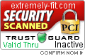 Security Seal