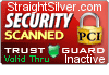 Security Seal