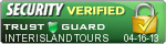 Security Verified Seal