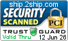 Security Seal