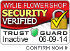Security Verified
