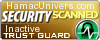 Security Seal