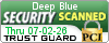 Security Seal