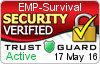 Security Verified Seal