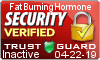 Security Verified Seal