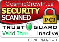 Security Seal